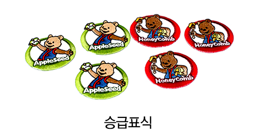 승급표식